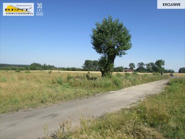 działka na sprzedaż 21900m2 działka Kicko