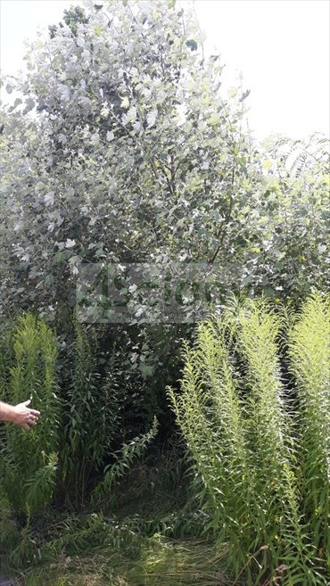 działka na sprzedaż 1200m2 działka Komorów