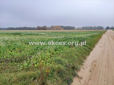 działka na sprzedaż 3000m2 działka Szumlin