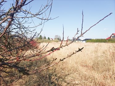 działka na sprzedaż 922m2 działka Mierzyn