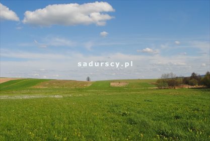 Działka rolna na sprzedaż Ściborzyce 34 334m2 Foto 7