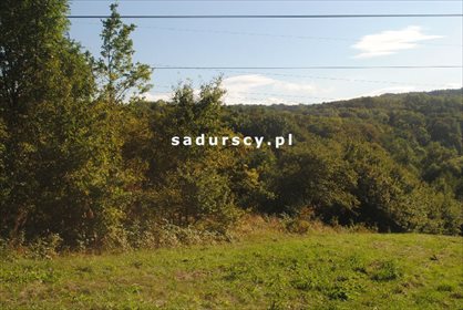 Działka inna na sprzedaż Miękinia 3 991m2 Foto 7