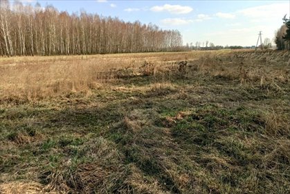 Działka rolna 2,25 ha z budynkami, potencjał inwestycyjny działka Wistka