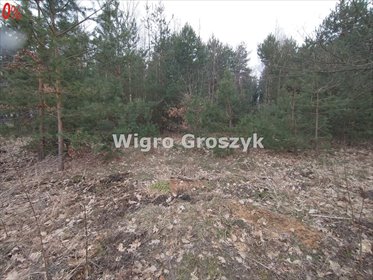 Polecam słoneczną działkę 2900 m² z rezerwatem i źródłami termalnymi działka Tłumy