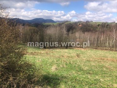 działka na sprzedaż 6939m2 działka Olszyniec, okolice Kolejowej