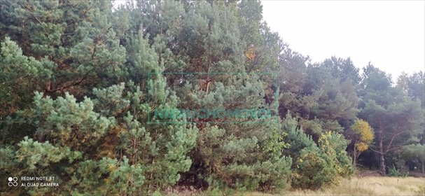 działka na sprzedaż 13000m2 działka Radziejowice