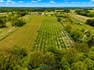 Działka pod zabudowę 47 200 m² z mediami i dużym potencjałem działka Kocerany, Nowy Trakt