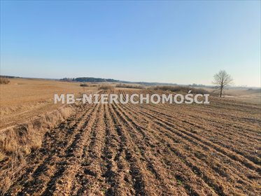 Duża działka rolna 232 ha bez budynków. działka Grabnik