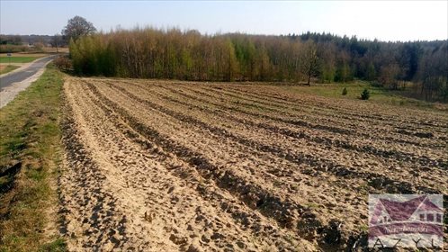 Działka rolna na sprzedaż Lubcza 5 000m2 Foto 5
