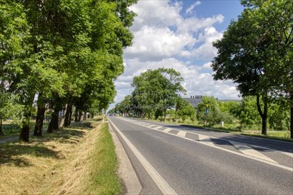 działka na sprzedaż Michałówek Poznańska 20600 m2