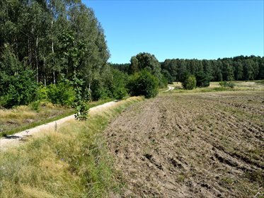 działka na sprzedaż 11400m2 działka Ostroróg