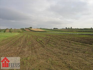 działka na sprzedaż 5520m2 działka Proszowice, Podgórze