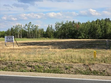 Do sprzedania działka 15,84a z warunkami zabudowy i dostępem do mediów działka Nowa Dęba, Niżańska