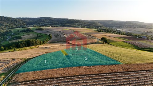 działka na sprzedaż 3000m2 działka Brzeziny