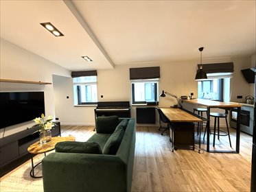 Do sprzedania nowoczesny loft 42 m² przy Piotrkowskiej mieszkanie Łódź, Śródmieście, Piotrkowska