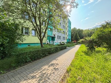 mieszkanie na sprzedaż 53m2 mieszkanie Zabrze, Osiedle Kotarbińskiego