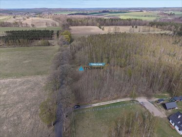 Atrakcyjna działka rolna 3,86 ha z możliwością wycinki działka Radusz