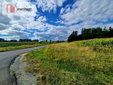 Inwestycyjna działka 2716 m² przy S5 w Prusicach. działka Prusice, Młynarska
