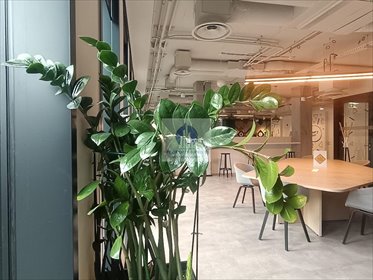 Wynajmę biuro serwisowane 14 m² w centrum Warszawy lokal użytkowy Warszawa, Śródmieście, Nowogrodzka