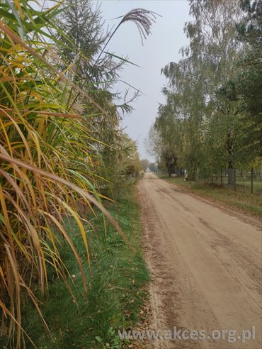 Do sprzedania działka 3817 m² pod zabudowę w Szumlinie działka Szumlin