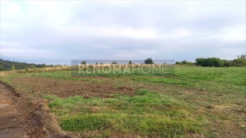 Działka budowlana na sprzedaż Wałbrzych, Rusinowa 1 700m2 Foto 2