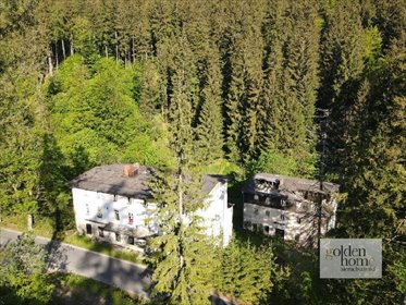 działka na sprzedaż 19400m2 działka Kletno, Śnieżnik Jaskinia Niedźwiedzia