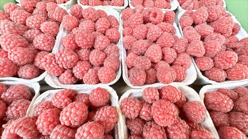 lokal użytkowy na sprzedaż 57m2 lokal użytkowy Łódź, Widzew, Zakładowa