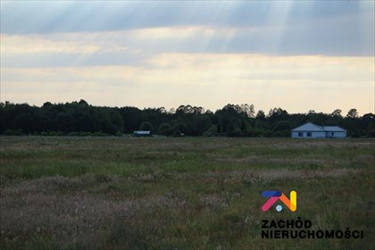 działka na wynajem 16077m2 działka Zielona Góra, Ochla, ul.Działkowa