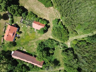 Siedlisko z duszą–2,26 ha prywatności pod Lubinem dom Lubin