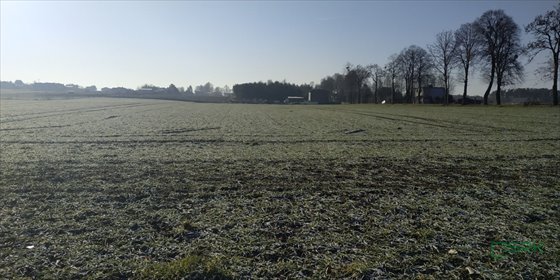 działka na sprzedaż 82965m2 działka Suszec, Suszec, Grabówka, Szkolna i Woszczycka