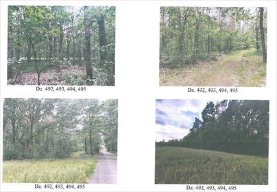 Działka rolna na sprzedaż Papiernia 41 900m2 Foto 2