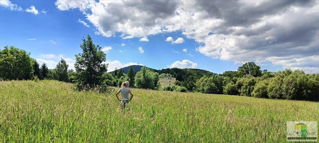 działka na sprzedaż 131985m2 działka Szczawno-Zdrój