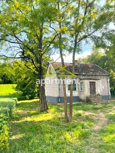 dom na sprzedaż 70m2 dom Nowy Korczyn