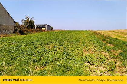 Działka budowlana na sprzedaż Grębień, Pątnów 7 600m2 Foto 5