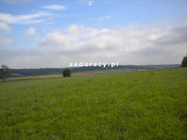 Działka rolna na sprzedaż Gołyszyn 28 520m2 Foto 7