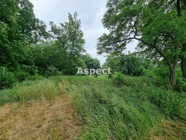 działka na sprzedaż 1466m2 działka Gąbin