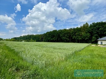 działka na sprzedaż 2200m2 działka Jarosław, Widna Góra