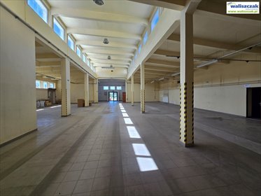 lokal użytkowy na wynajem 530m2 lokal użytkowy Piotrków Trybunalski