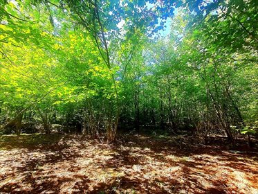 działka na sprzedaż 2080m2 działka Łapy