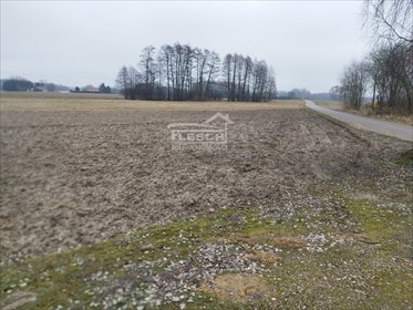 działka na sprzedaż 3500m2 działka Lisówek