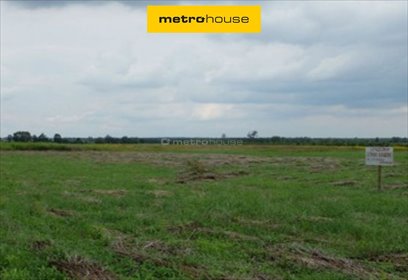 działka na sprzedaż 35169m2 działka Pawłów Trzebnicki