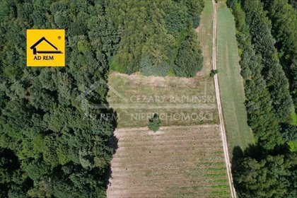 Działka rekreacyjna 3000 m² w Uściążu – spokój i naturę działka Uściąż, Uściąż