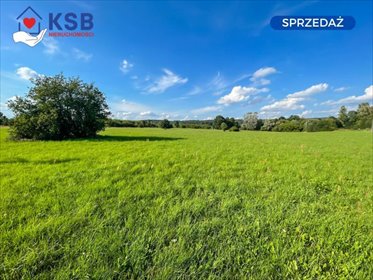 Sprzedam działkę 10 500 m² z warunkami zabudowy i dostępem do rzeki działka Starachowice