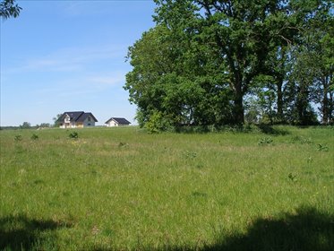 Działka budowlana 1499 m2 z warunkami zabudowy. działka Kościuszki