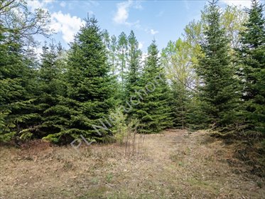 Działka 1400 m² w Milanówku z mediami i dostępem do drogi działka Milanówek