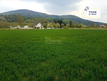 Działka budowlana na sprzedaż Sady 21 500m2 Foto 1