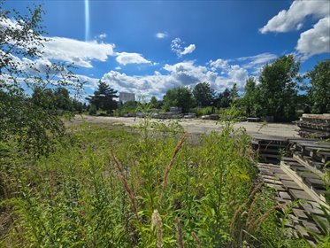 działka na wynajem 6015m2 działka Orzesze, Woszczyce, Modrzańska