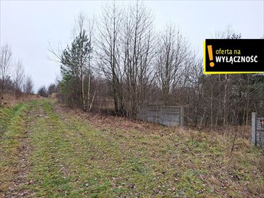 Działka bud.-rolna z fundamentami, 11 200 m². działka Czerwona Górka