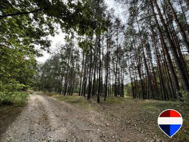 Działka rolna z samosiejkami, 5500 m², potencjał rekreacyjny działka Miński, Graniczna