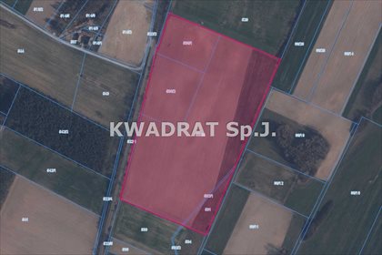 Działka inwestycyjna na sprzedaż Parzynów 66 076m2 Foto 4